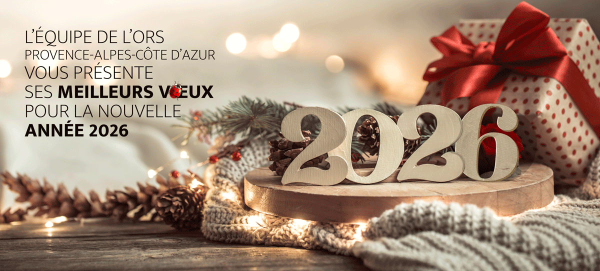 Bonne année 2026